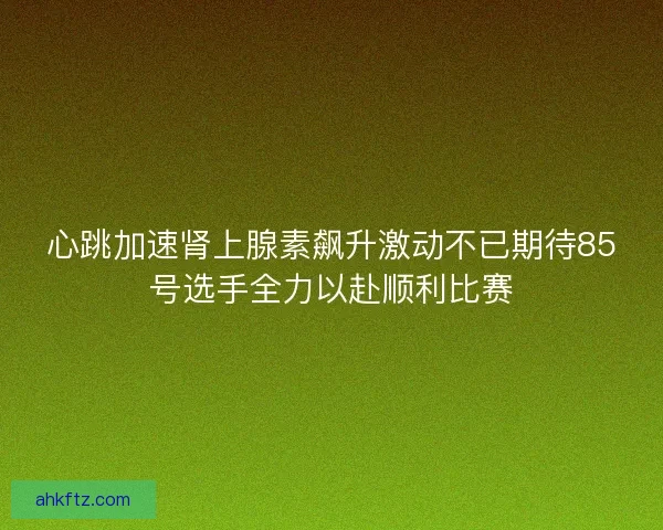 心跳加速肾上腺素飙升激动不已期待85号选手全力以赴顺利比赛